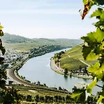 Weingut Und Gaestehaus Apel ニッテル