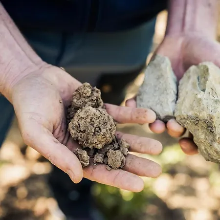 Weingut Und Gaestehaus Apel Han/Misafirhane *