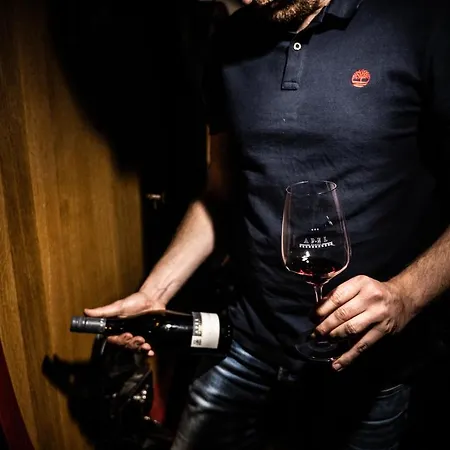 Han/Misafirhane Weingut Und Gaestehaus Apel Nittel