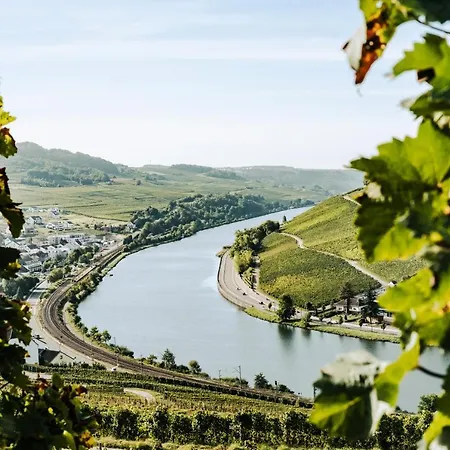 Weingut Und Gaestehaus Apel ニッテル