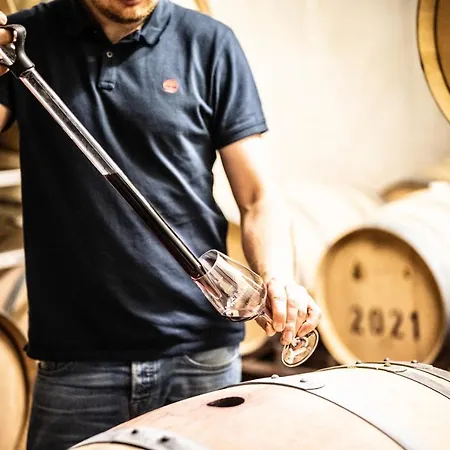 Weingut Und Gaestehaus Apel Han/Misafirhane *