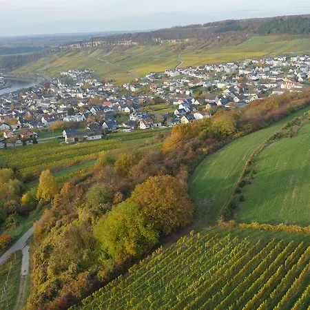 Weingut Und Gaestehaus Apel 여관
