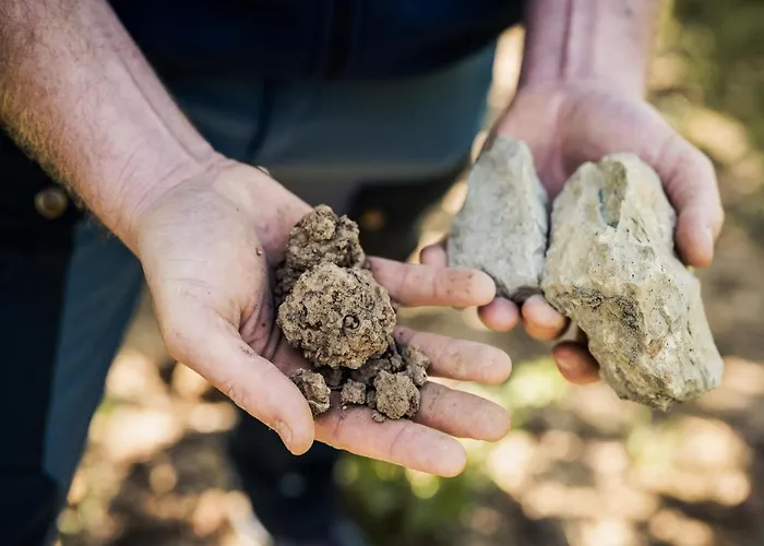 Weingut Und Gaestehaus Apel Mini-hôtel *
