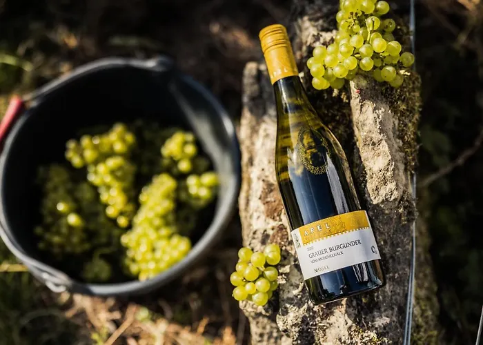 Weingut Und Gaestehaus Apel * Nittel