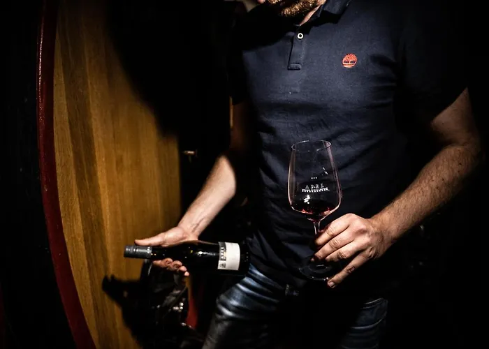 Mini-hôtel Weingut Und Gaestehaus Apel Nittel