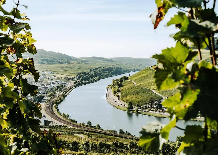 Weingut Und Gaestehaus Apel Nittel