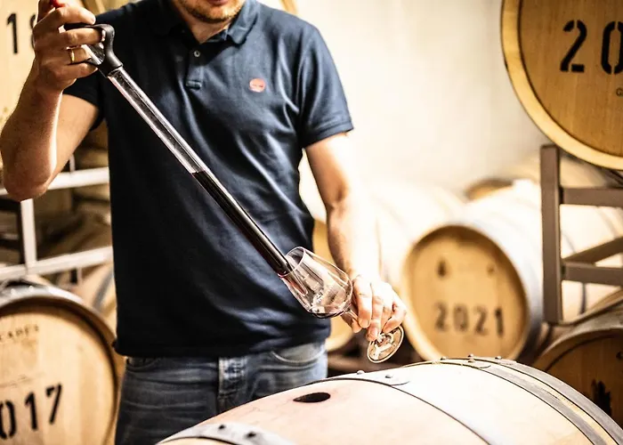 Weingut Und Gaestehaus Apel Mini-hôtel *