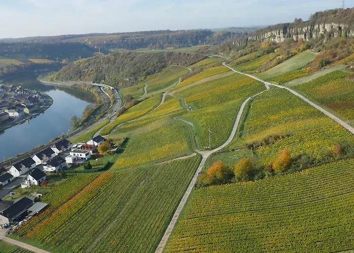 Värdshus Weingut Und Gaestehaus Apel
